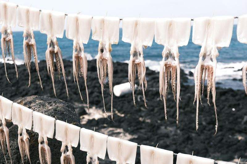 GrünZauber Gartengestaltung - Image 10